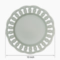 Sage Green Dinner Plates Set of 4